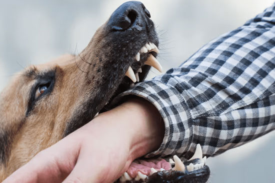 CANADI Clínica de Heridas y Pie Diabético en Hidalgo